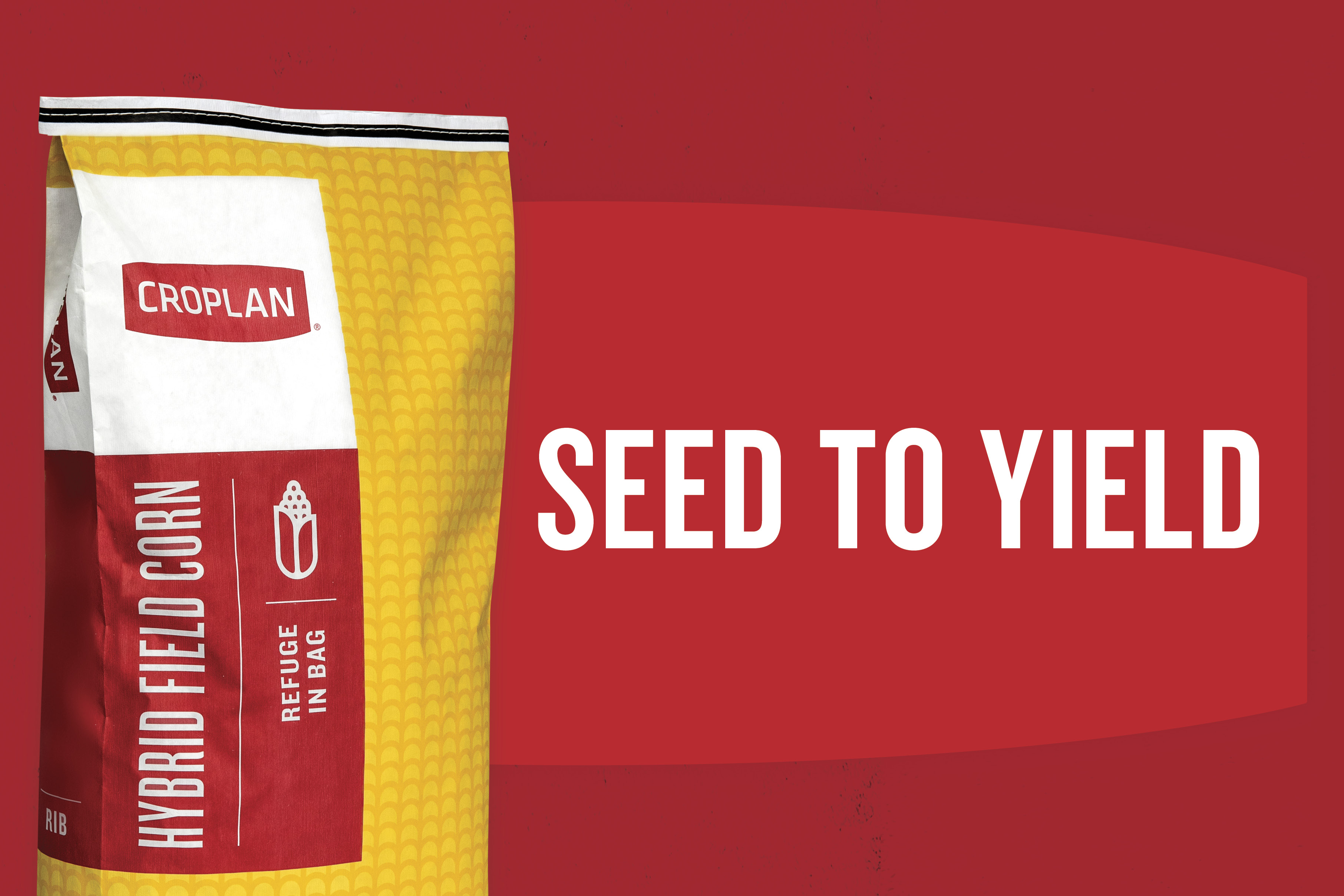 From Seed To Yield text on top of combine corn harvest image