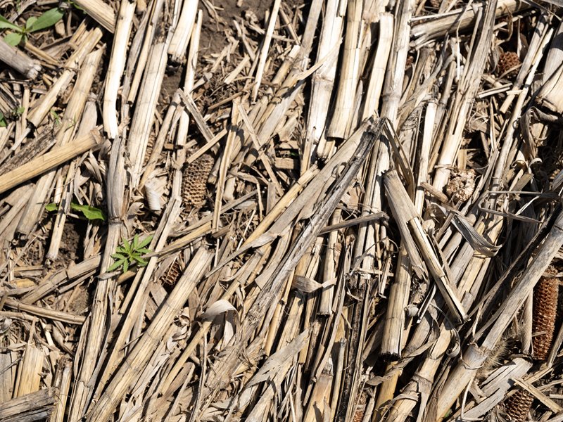 Quantifying Soil Health